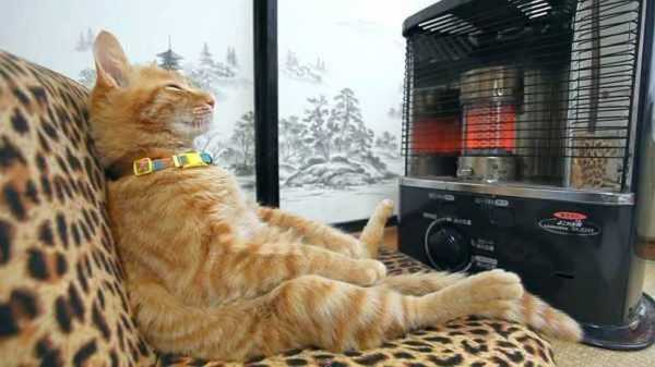Обогреватели тепловые для дома – отзывы потребителей. Эффективность настенного электрического обогревателя "Доброе тепло"