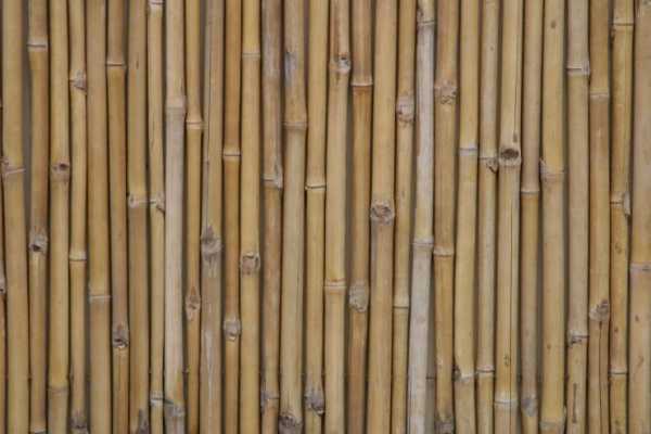Обои бамбуковые в интерьере – характеристика материала, особенности применения, фото-идеи. Особенности бамбуковых обоев. Характеристики бамбуковых обоев и особенности применения их для отделки интерьера.Информационный строительный сайт |
