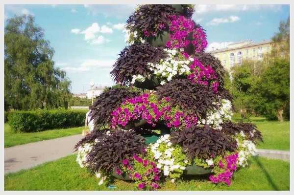 Оформление клумб своими руками фото – Клумбы И Цветники Своими Руками: 210+ (Фото) Красивого Дизайна