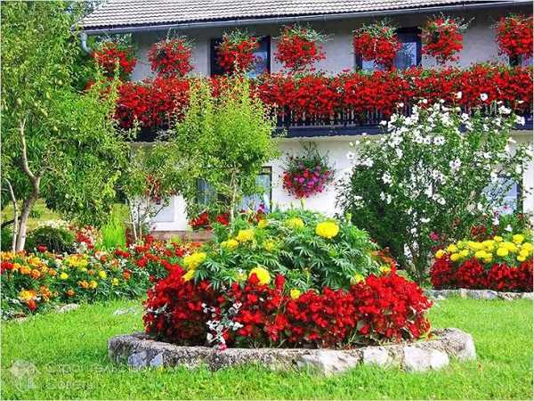 Оформление клумб своими руками фото – Клумбы И Цветники Своими Руками: 210+ (Фото) Красивого Дизайна