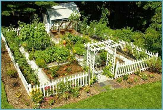 Ограждение для грядки – Ограждения для грядок своими руками — как сделать забор для палисадника, цветника или огорода, пошаговые инструкции с фото