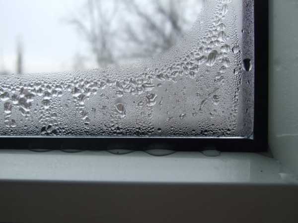 Окна пластиковые в деревянном доме потеют окна – Почему запотевают пластиковые окна в частном доме: причины и решения
