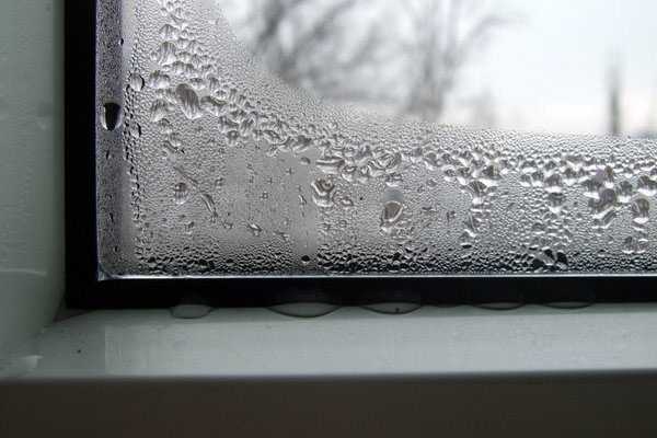 Окна сильно потеют – Почему потеют пластиковые окна в доме и что делать?