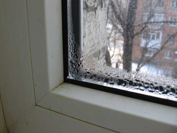Окна сильно потеют – Почему потеют пластиковые окна в доме и что делать?