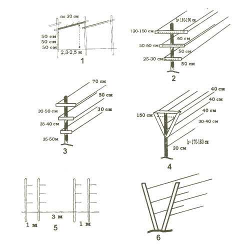 Опоры под виноград – чертежи одноплоскостного и других типов, пошаговые инструкции изготовления с фото и видео