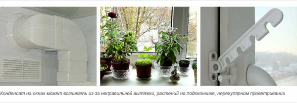От чего запотевают пластиковые окна – Запотевают пластиковые окна - что делать: видео-инструкция по монтажу своими руками, особенности средств, как избавиться, устранить запотевание, цена, фото
