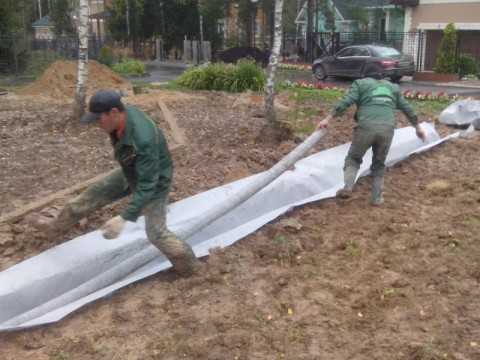 Отведение воды с участка – самый простой способ отвода вод