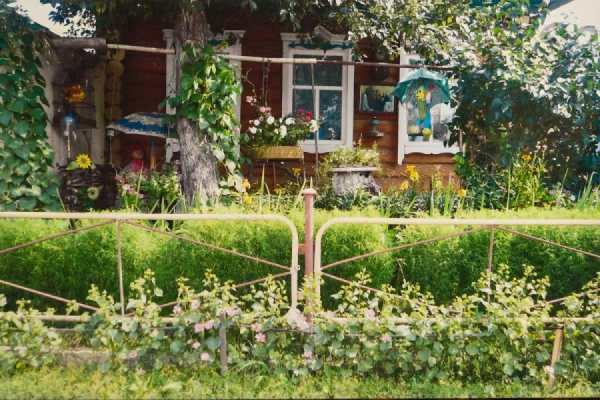 Палисадник перед домом своими руками фото – Дизайн палисадника перед домом своими руками, фото красивых палисадников