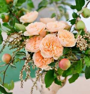Персиковый и бирюзовый цвета в интерьере – Персиковый цвет в интерьере: сочетание с другими цветами