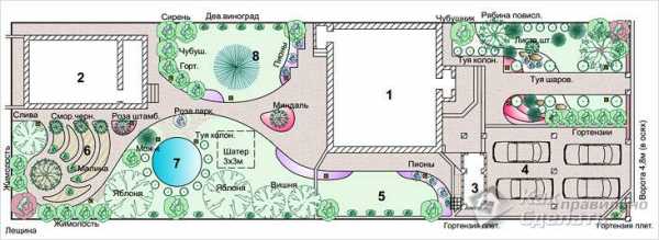 Планировка участка загородного участка фото – Планировка дачного участка - схемы грамотного зонирования с фото примерами