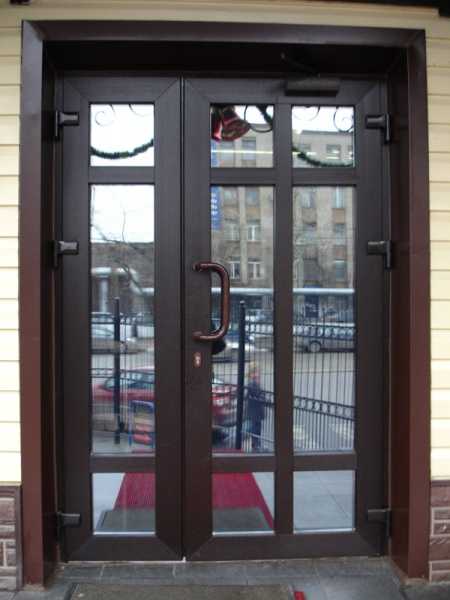 Пластиковые двери уличные фото – уличные модели в частный загородный дом, стеклянные элементы в вариантах из ПВХ, вторая дверь, отзывы