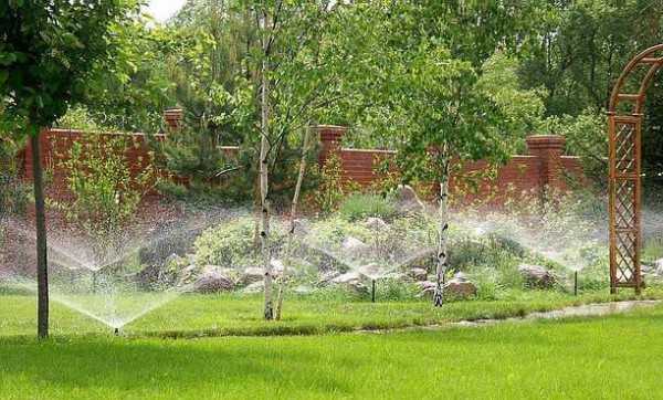 Полив капельный сада – Капельный полив сада: преимущества системы
