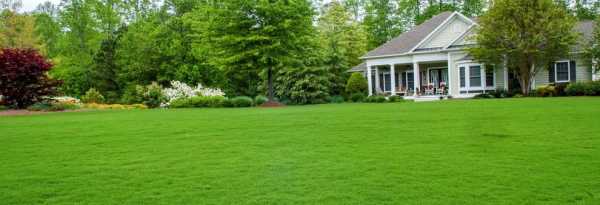 Посадка травы газонной – Газонная трава - когда сажать газон на даче, как правильно это делать (видео инструкция)
