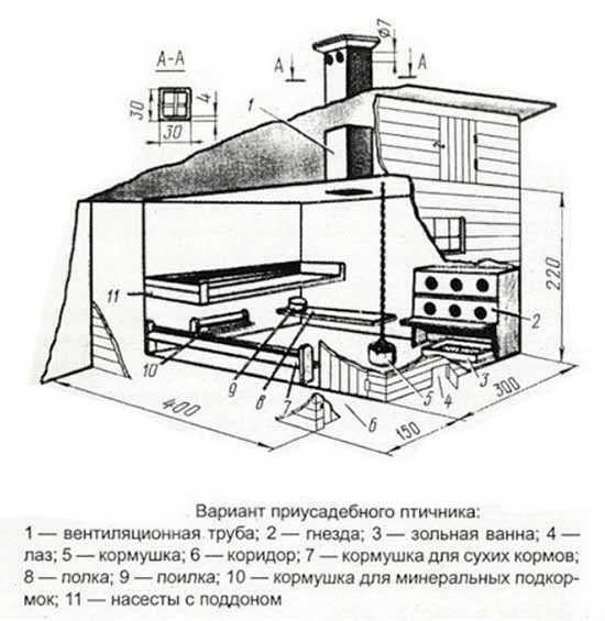 Построить зимний курятник своими руками фото схемы – Как сделать зимний курятник на 20 кур своими руками: проект, чертеж и обустройство