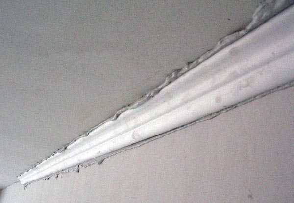 Потолочный плинтус наклеить – монтаж багета на потолок своими руками (видео, фото)