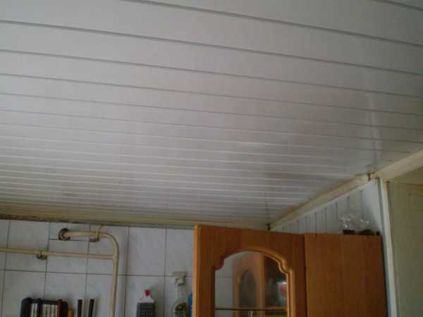 Потолок на кухне какой лучше фото – из чего установить потолочное покрытие, чем лучше отделать , видео-инструкция по монтажу своими руками, фото