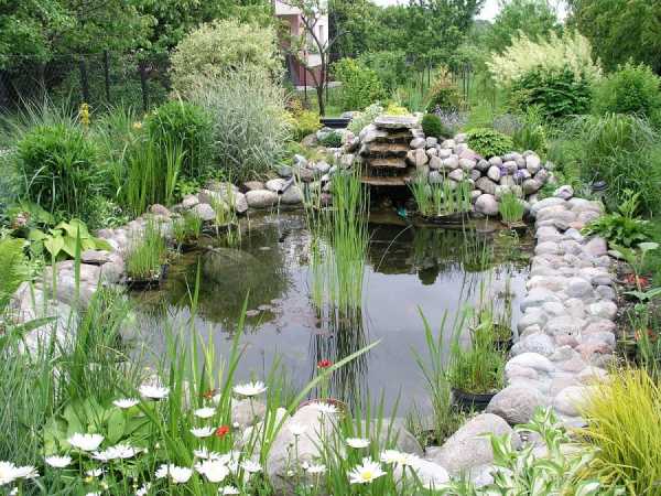 Пруд декоративный своими руками фото – как сделать искусственный водоем на участке, идеи ландшафтного дизайна и красивые примеры в саду около загородного дома