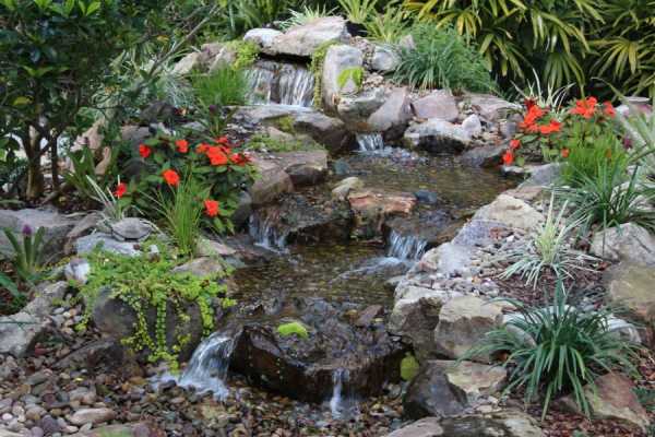 Пруд декоративный своими руками фото – как сделать искусственный водоем на участке, идеи ландшафтного дизайна и красивые примеры в саду около загородного дома