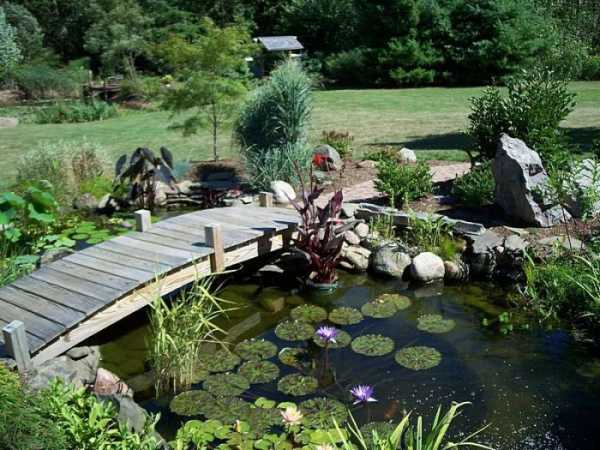 Пруд на дачном участке – как сделать искусственный водоем на участке, идеи ландшафтного дизайна и красивые примеры в саду около загородного дома