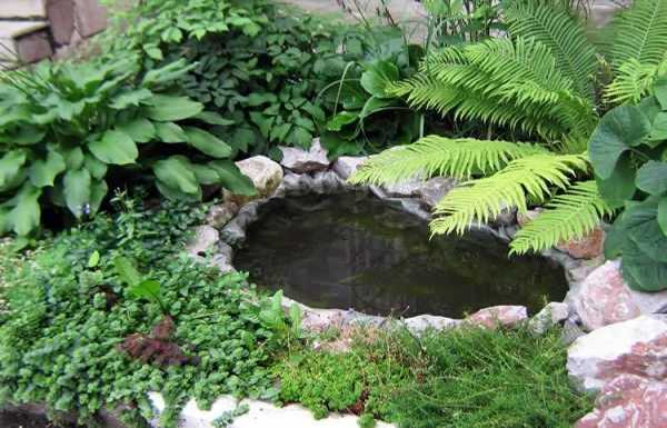Пруды на даче фото – как сделать искусственный водоем на участке, идеи ландшафтного дизайна и красивые примеры в саду около загородного дома