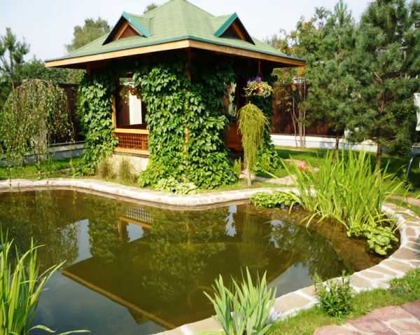 Пруды на даче фото – как сделать искусственный водоем на участке, идеи ландшафтного дизайна и красивые примеры в саду около загородного дома