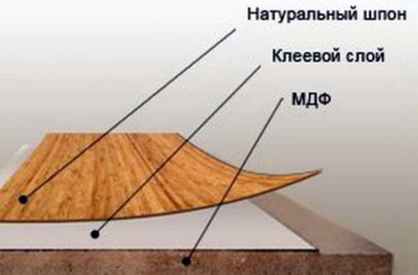 Размер панели мдф для стен – Размеры МДФ-панели: стандартные длина и ширина продукции для стен, толщина стеновых продуктов