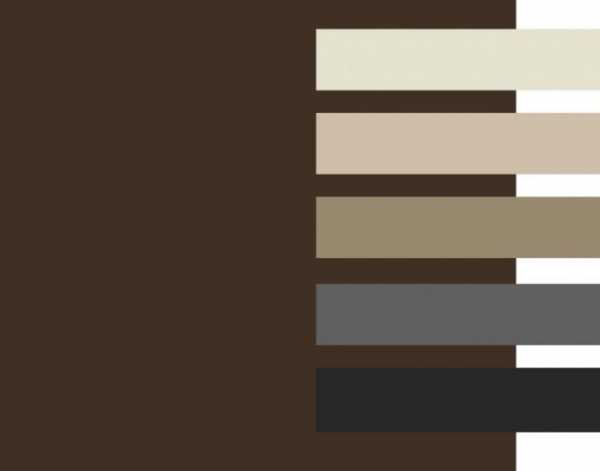 С какими цветами сочетается коричневый цвет – Сочетание коричневого цвета в одежде