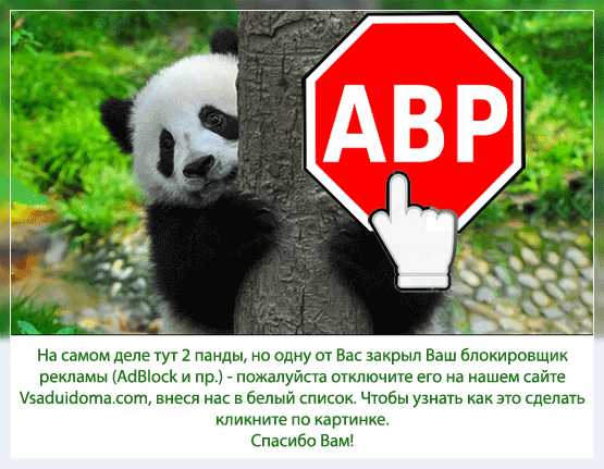 Сады и огороды на маленьких участках – Как распланировать огород на маленьком участке?