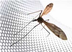 Сетка от насекомых – Сетки от комаров, насекомых на Алиэкспресс. Каталог видов сеток от комаров и насекомых на Алиэкспресс. Сетка от комаров Москитная сетка