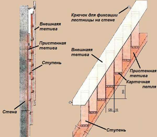 Складные мансардные лестницы – Как сделать лестницу на мансарду своими руками? Инструкция строительства лестницы, а также фото готовых мансардных лестниц: винтовой, складной, классической