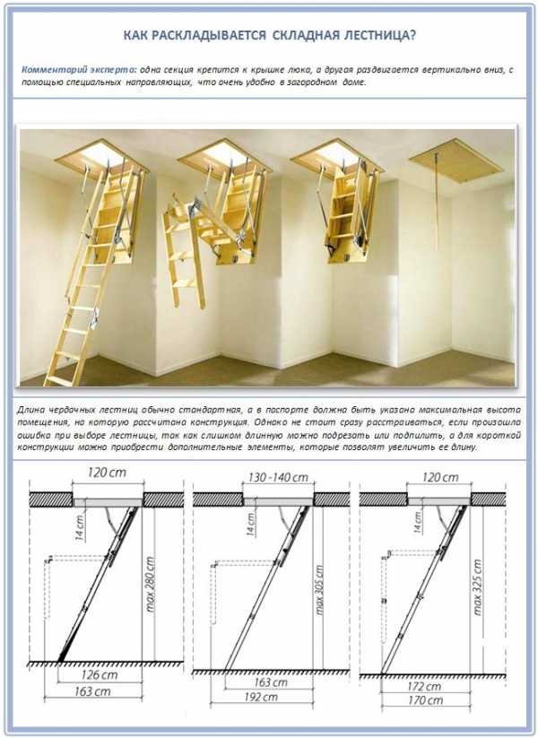 Складные мансардные лестницы – Как сделать лестницу на мансарду своими руками? Инструкция строительства лестницы, а также фото готовых мансардных лестниц: винтовой, складной, классической