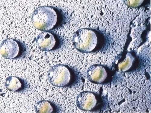 Смеси водоотталкивающие – Гидроизоляционные смеси | Цементные, полимерцементные, минеральные, капиллярные, инъекционные, обмазочные, штукатурные