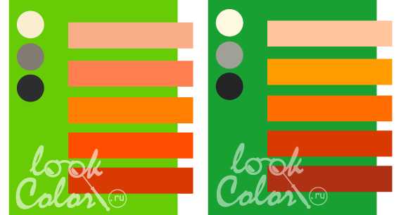 Сочетания цвета – Сочетание цветов: таблица