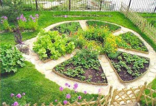 Современные грядки – Современный огород: планировка, совместимость огородных и ягодных культур, схема севооборота, как украсить и рационально использовать