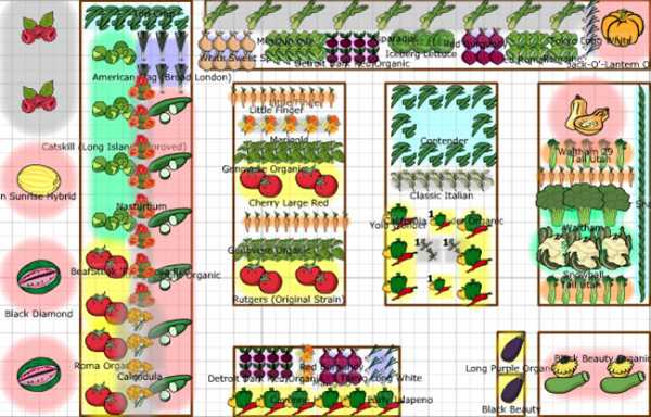 Современный огород схемы – 105 фото планирование и распределение участка