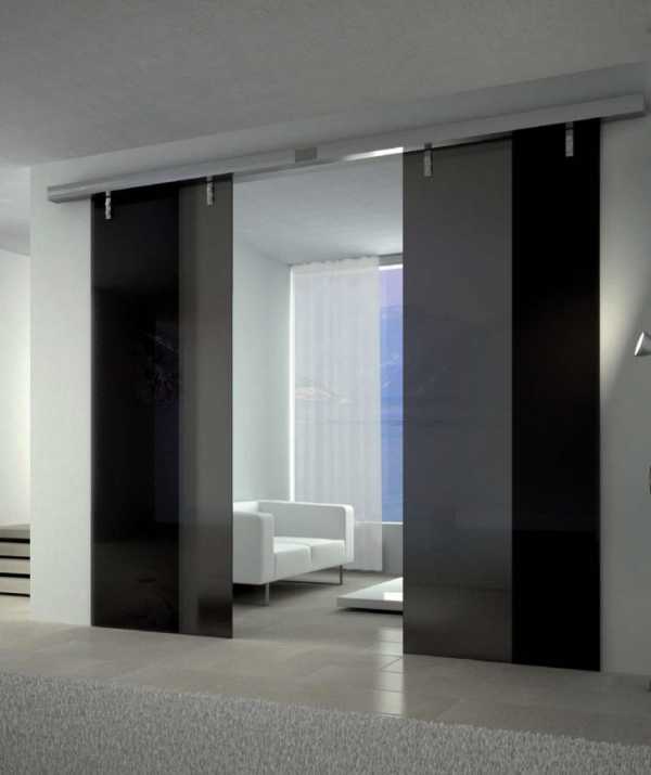 Стеклянные двери межкомнатные фото в квартире – Красивая межкомнатная стеклянная дверь - из какого стекла выбрать: матового или рифленого, виды дверей + фото