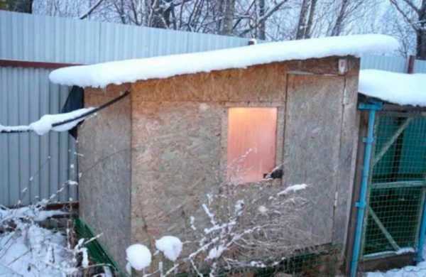 Строим зимний курятник – Как построить тёплый курятник на зиму своими руками