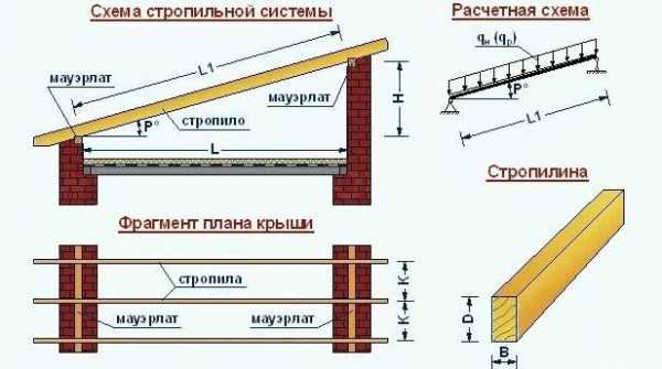 Стропильная односкатная система – Стропильная система односкатной крыши - как провести расчеты параметров