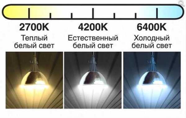 Светильники светодиодные как выбрать – Как выбрать светодиодную лампу для дома? Светодиодные лампы и светильники для дома