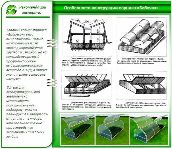 Теплица бабочка – Парник «Бабочка» – конструкция, виды, как сделать .