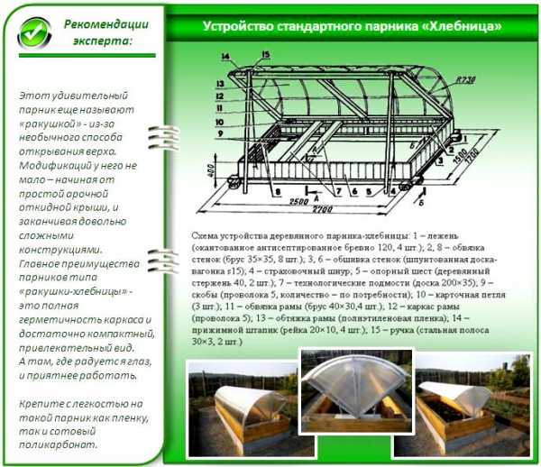 Теплица из поликарбоната квадратная – размеры, преимущества и недостатки, схемы и чертежи, технические характеристики, особенности проведения расчетов, монтажа