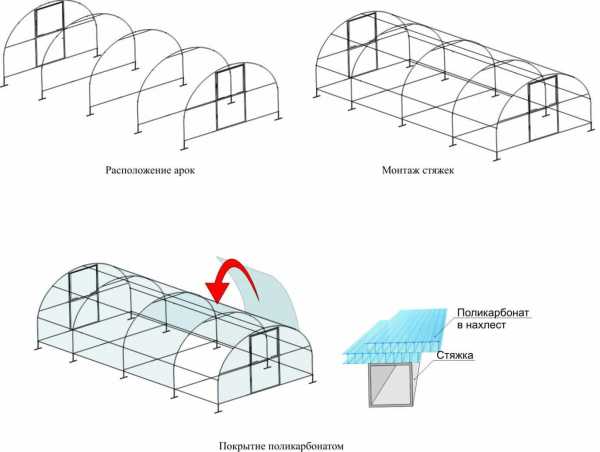 Теплица из поликарбоната квадратная – размеры, преимущества и недостатки, схемы и чертежи, технические характеристики, особенности проведения расчетов, монтажа