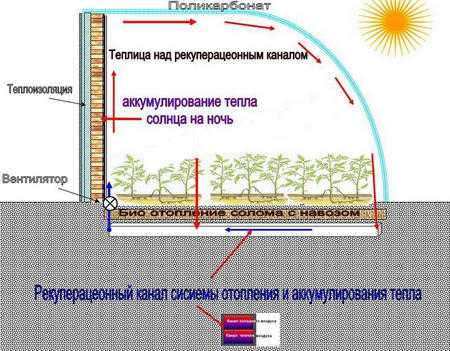 Теплица своими руками круглая – Круглогодичная теплица: видео-инструкция по монтажу своими руками, как построить парник для цветов, овощей (огурцов), зелени на круглый год, особенности промышленных тепличных строений, цена, фото