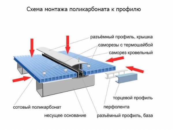 Теплицы из поликарбоната своими руками видео – Как сделать парник из поликарбоната своими руками: при помощи чего правильно установить теплицу, видео-инструкция по монтажу, фото и цена