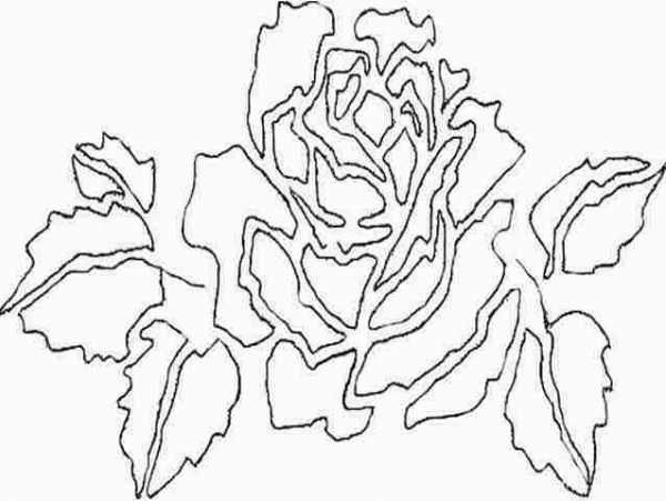 Трафареты цветочки – Рисунки трафареты шаблоны цветы наклейки. Шаблоны и трафареты цветов для вырезания