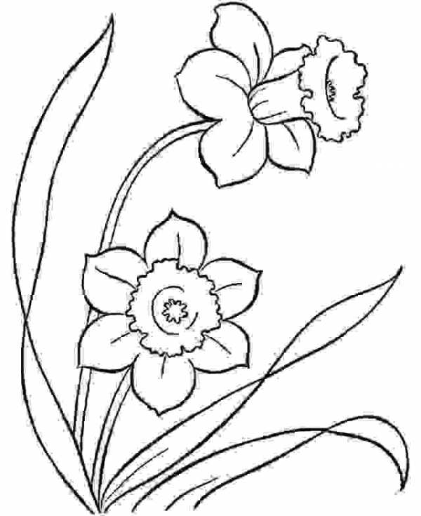 Трафареты цветочки – Рисунки трафареты шаблоны цветы наклейки. Шаблоны и трафареты цветов для вырезания