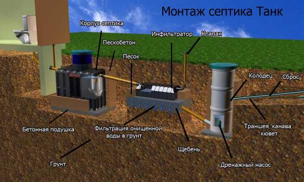 Туалет своими руками дача – Строим туалет на даче: поэтапная инструкция возведения туалета типа Скворечник и Шалаш