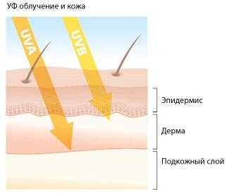 Ультрафиолетовый луч – Ультрафиолетовое излучение — Википедия