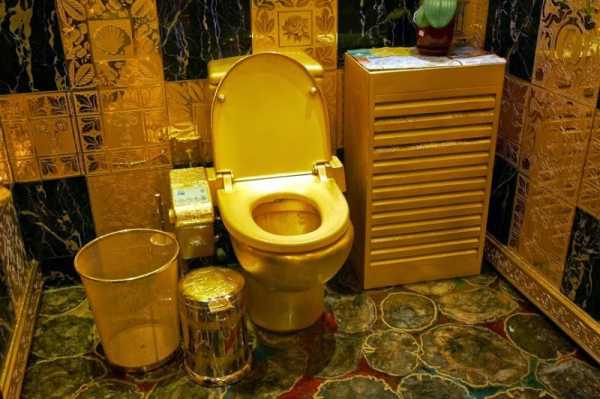 Унитазы самые дорогие – Самые дорогие или необычные туалеты мира, дизайн, обзор | Информационно-справочный портал Беларуси