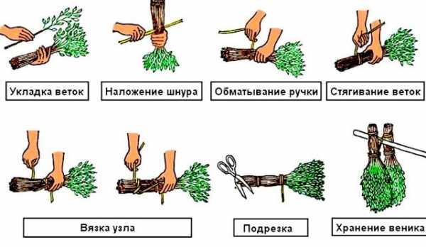 Веники для сауны – Какие бывают веники для бани